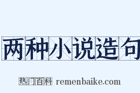 两种小说造句是什么意思的图片